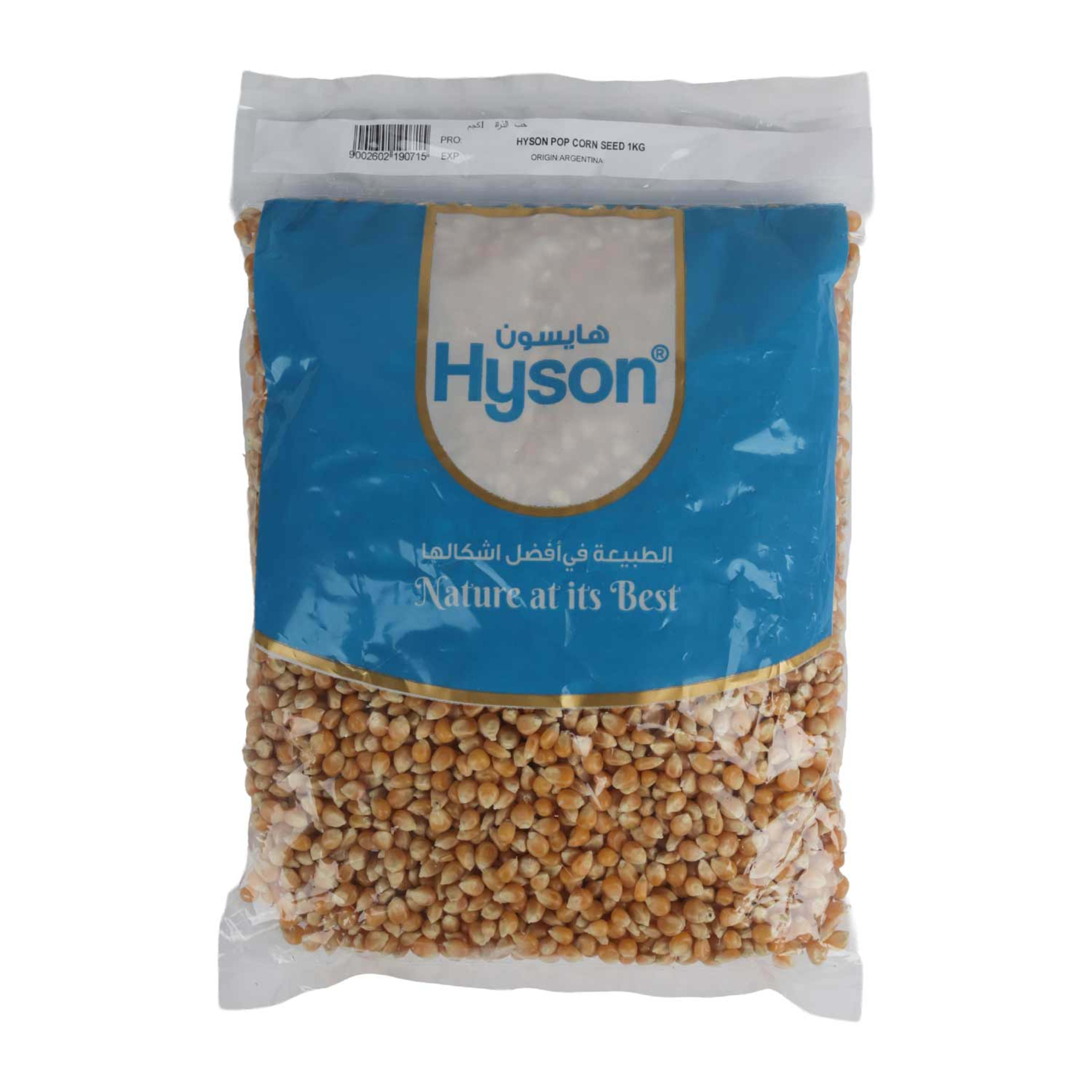 Hyson Pop Corn Seed 1kg.