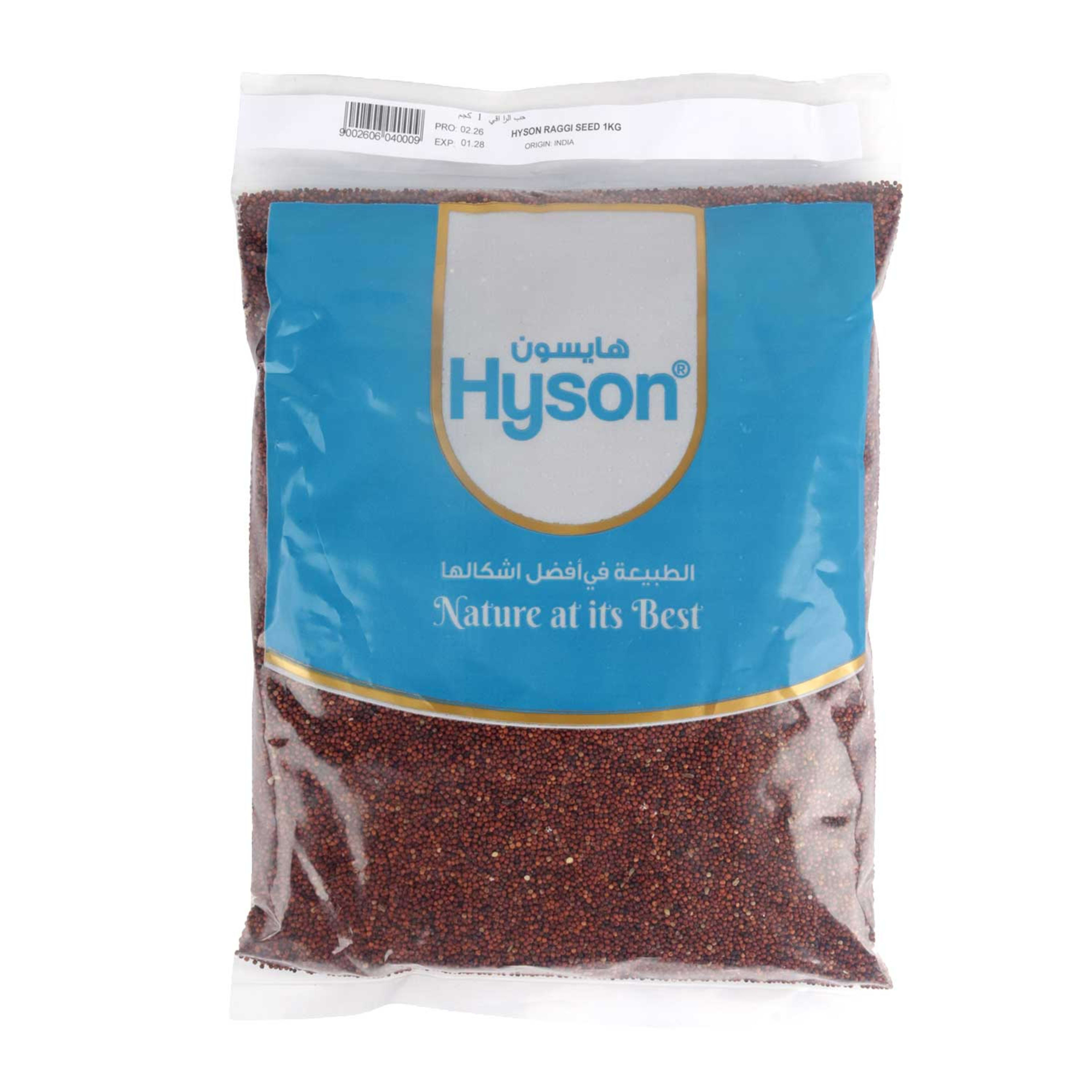 Hyson Raggi Seeds 1kg.