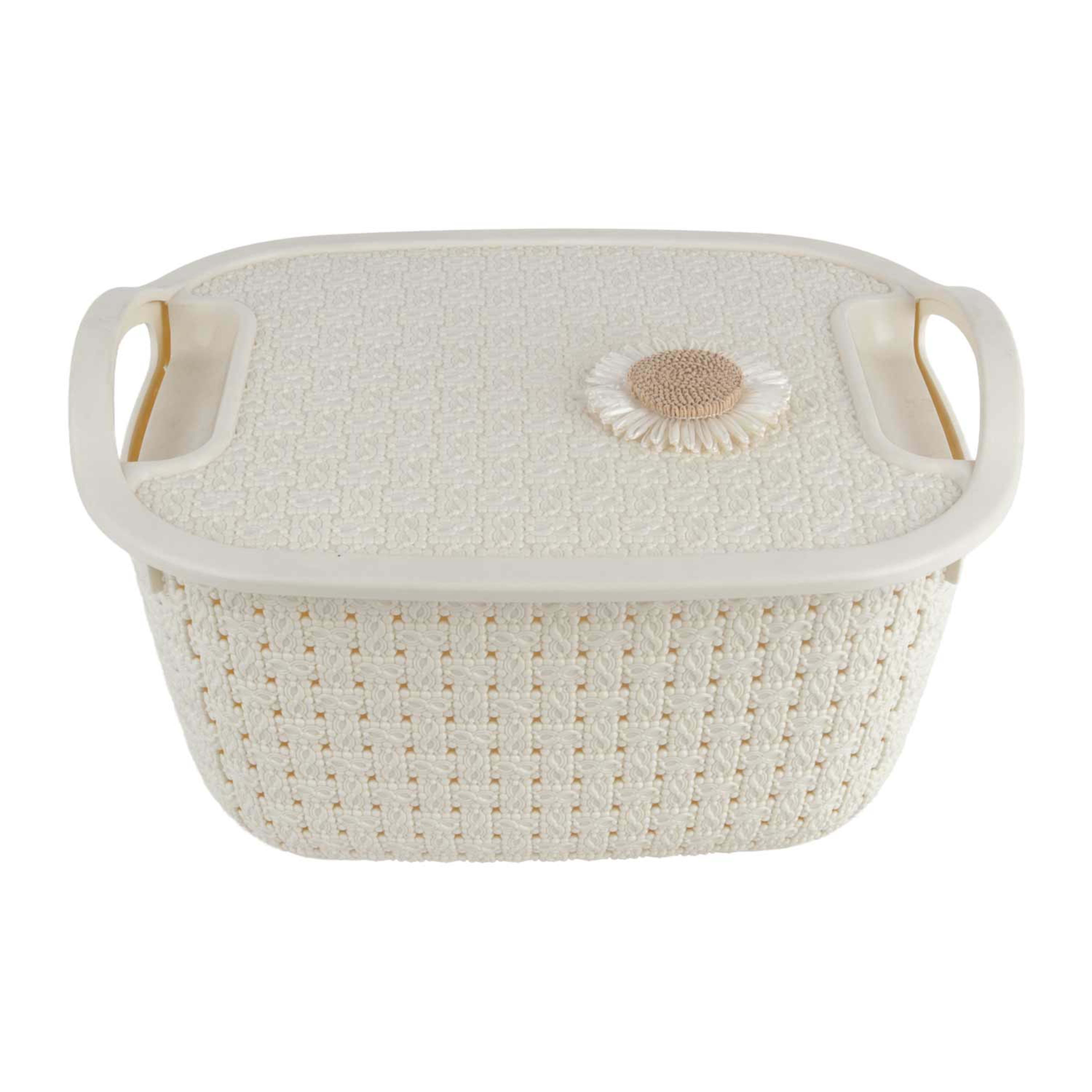 Designed Basket with Lid 1830