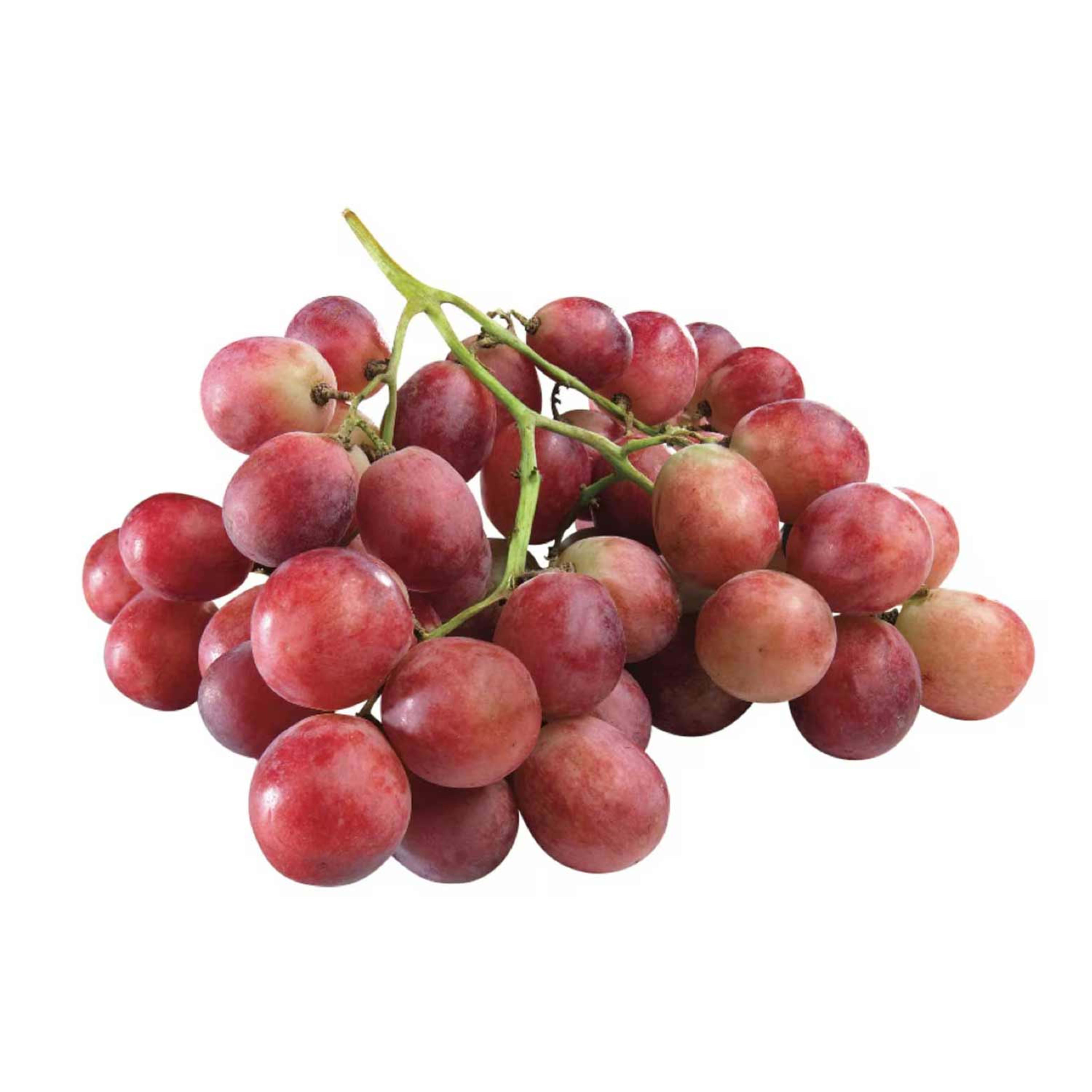 Grapes Red Lebanon