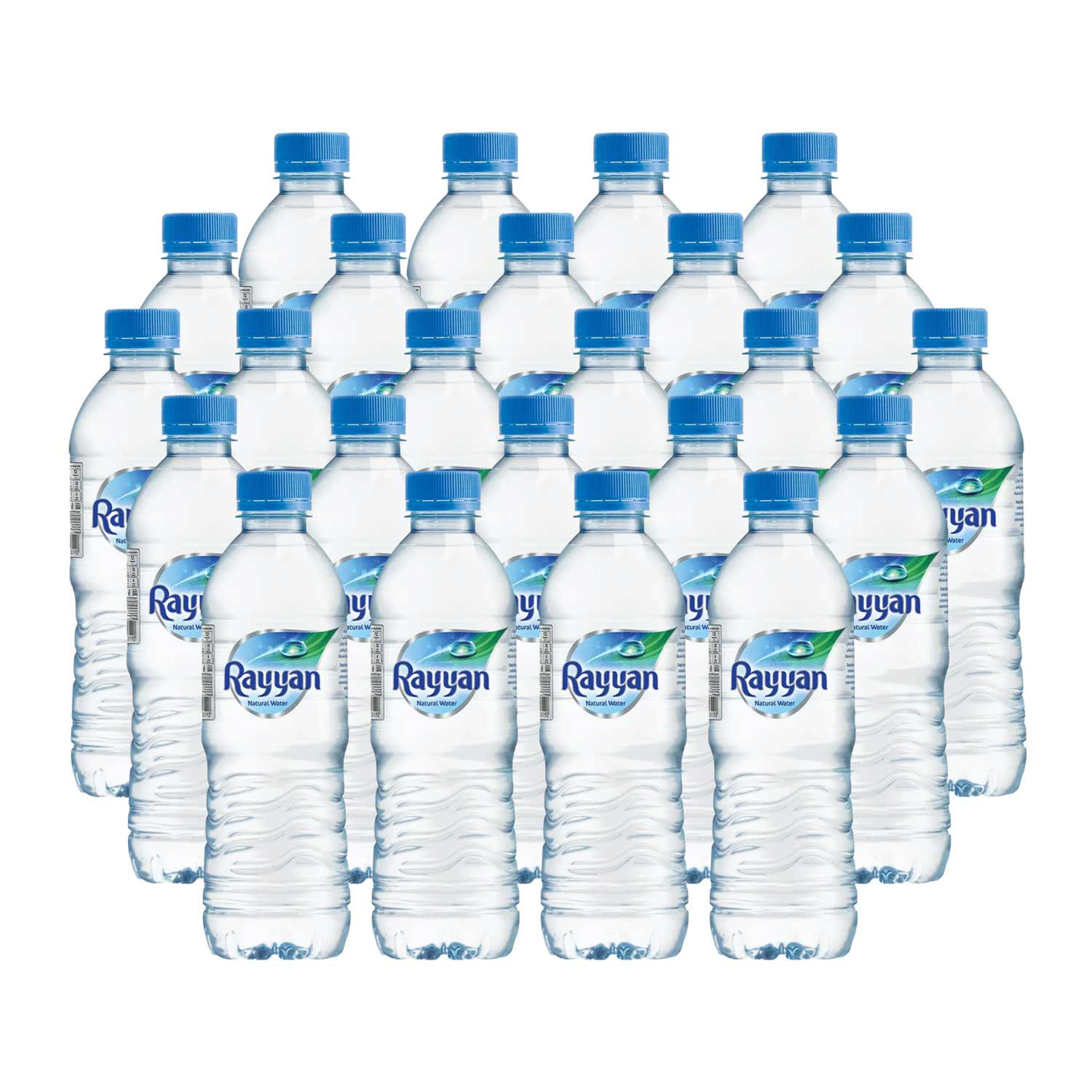 Rayyan Natural Water 250ml
