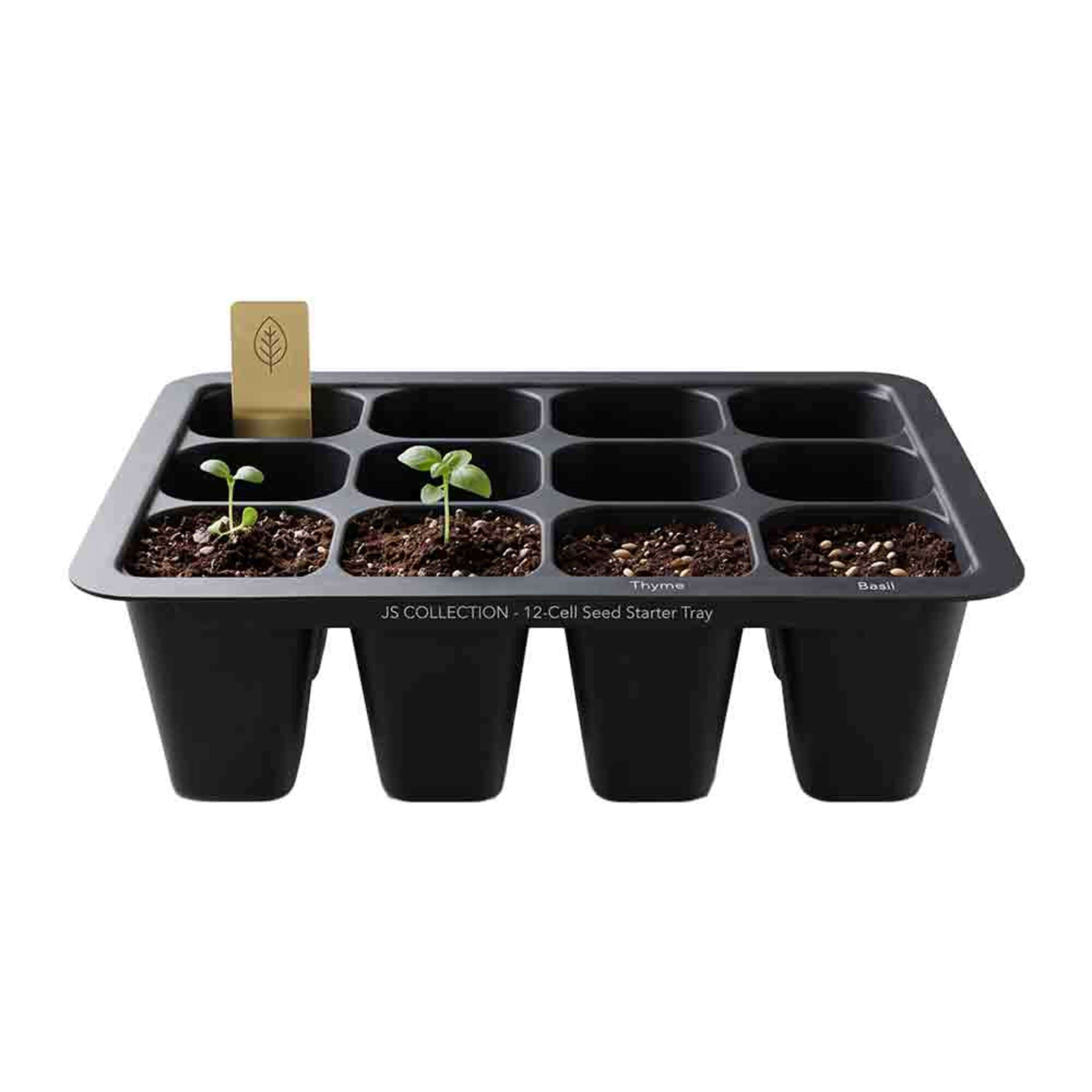 Trishi Mini Plant Tray Set of 3pcs Tr00402