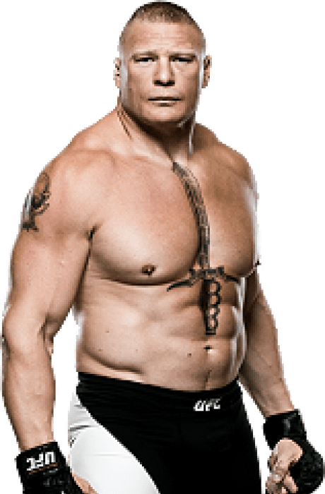 Brock Lesnar Full MMA Record and Fighting Statistics