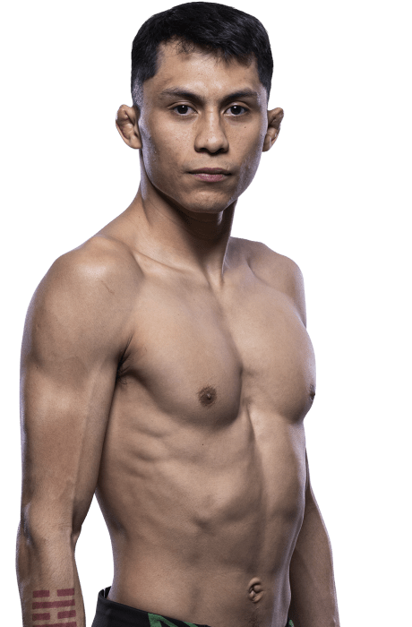 Victor “El Magnifico” Altamirano Full MMA Record and Fighting Statistics