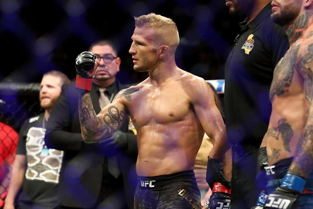 The MMA Daily: TJ Dillashaw blasts ’embarrassing’ Aljamain Sterling The MMA Daily: TJ Dillashaw blasts ’embarrassing’ Aljamain Sterling
