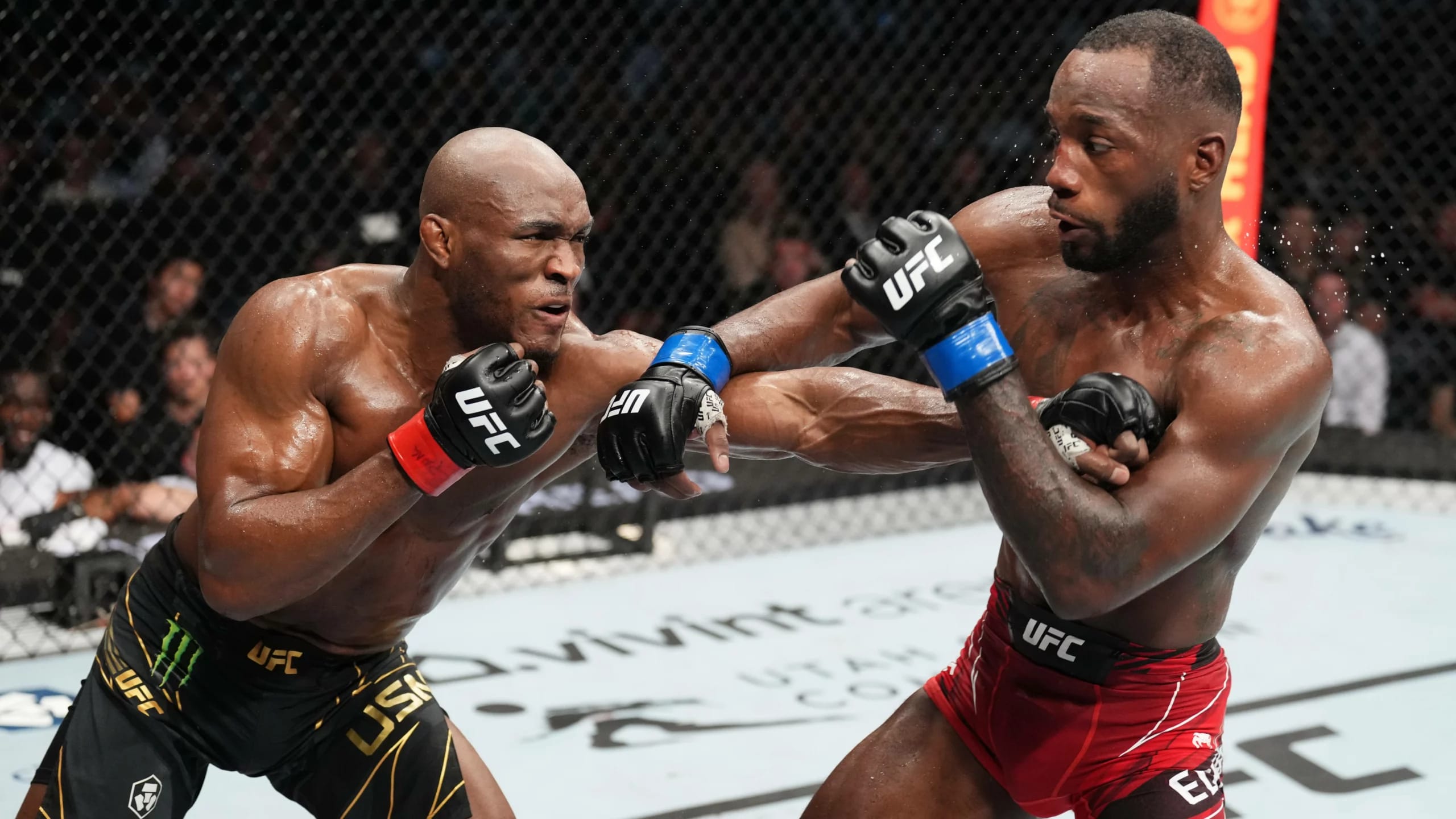 ufc 286 wallpaper
