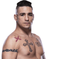 Diego Sanchez - MMA fighter