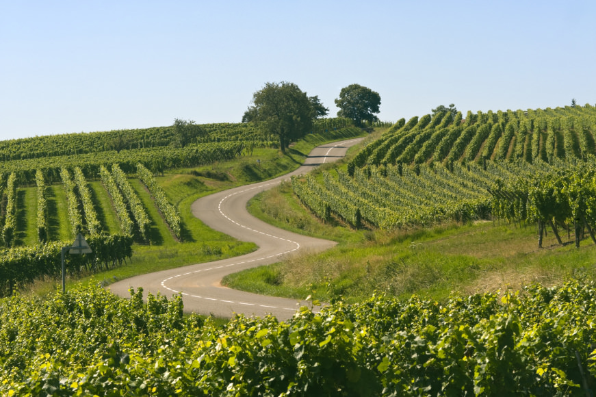 Car Hire France Alamo Rent A Car