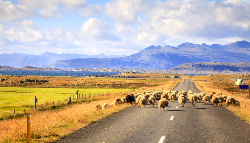 Car Hire Iceland Alamo Rent A Car