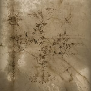 Preview image for O'Keefe - Hayden Manuscript