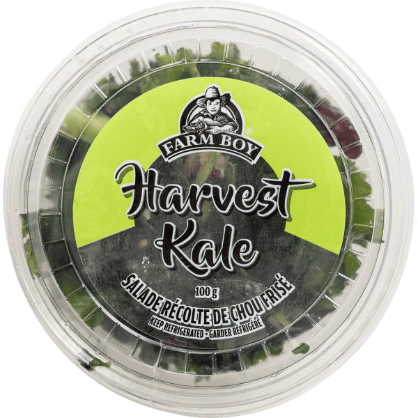 Farm Boy™ Harvest Kale Salad (100 g)