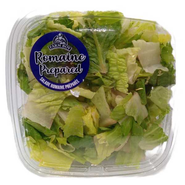 Farm Boy™ Prepared Romaine Salad (325 g)