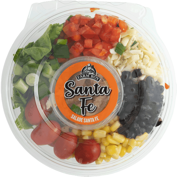 Farm Boy™ Santa Fe Salad (265 g)