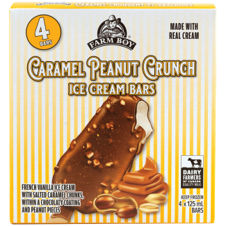 Farm Boy™ Caramel Peanut Crunch Ice Cream Bars (4 x 125 ml)