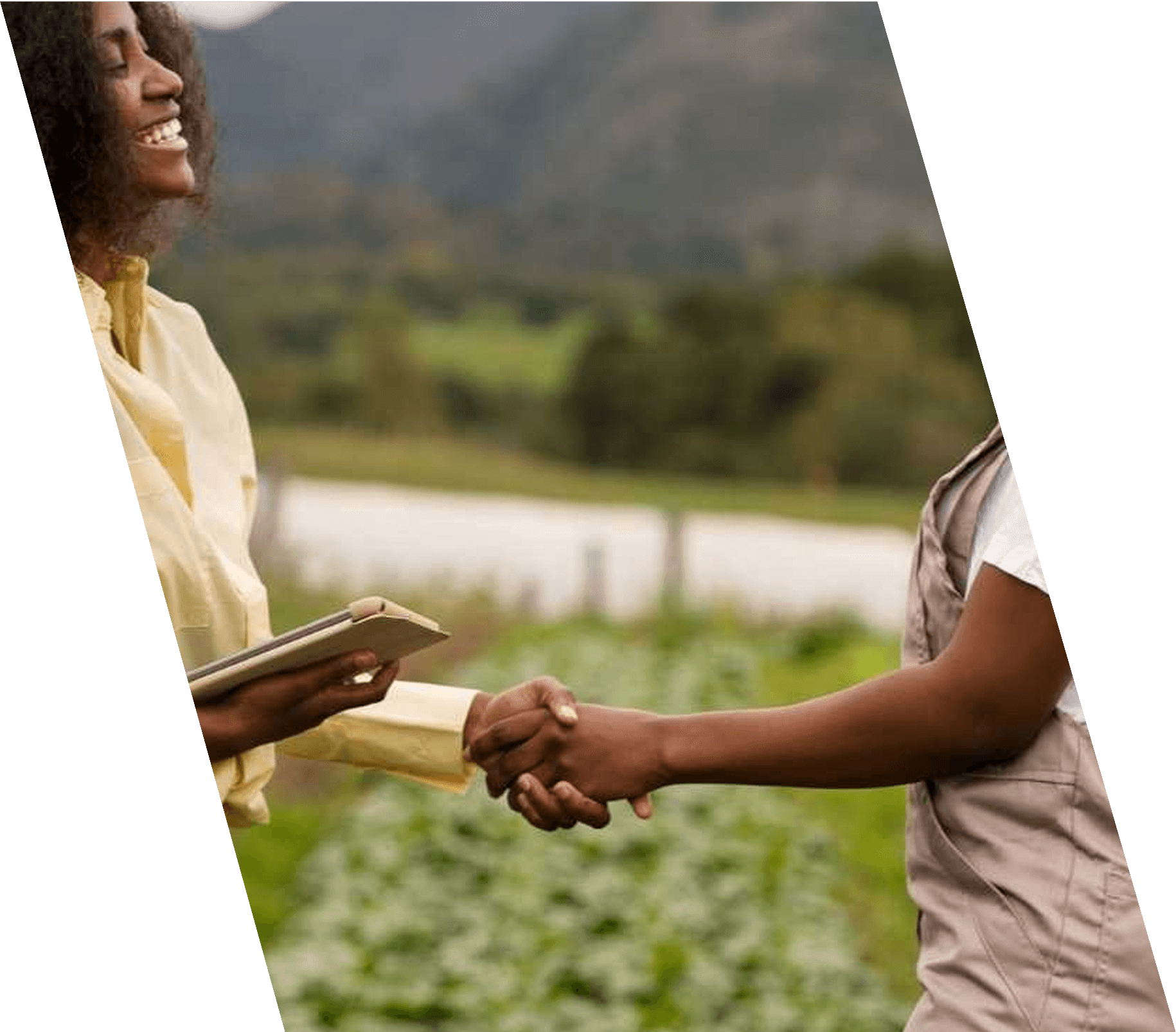 Empowering Producers