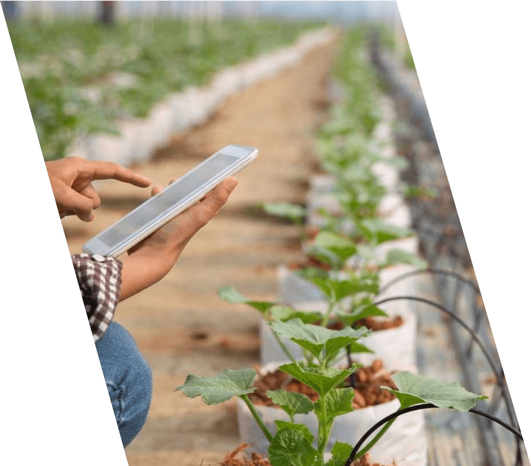 Empowering Producers