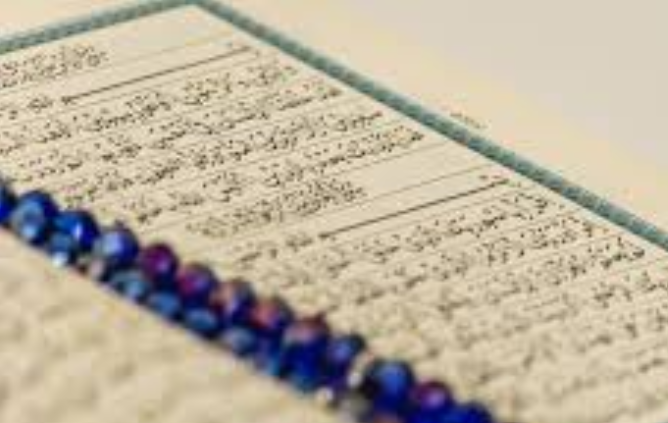 quran dictionary - quran search software learn-quran.online
