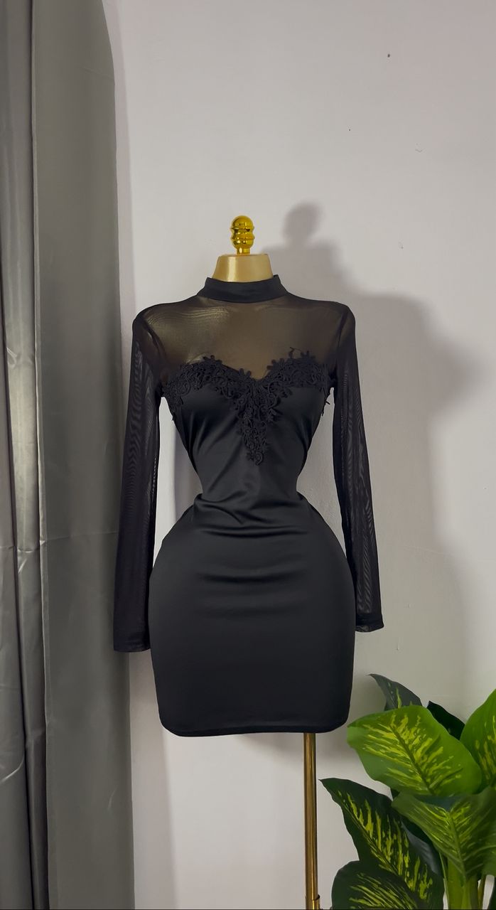 Elegant Black Sheer and Satin Bodycon Dress