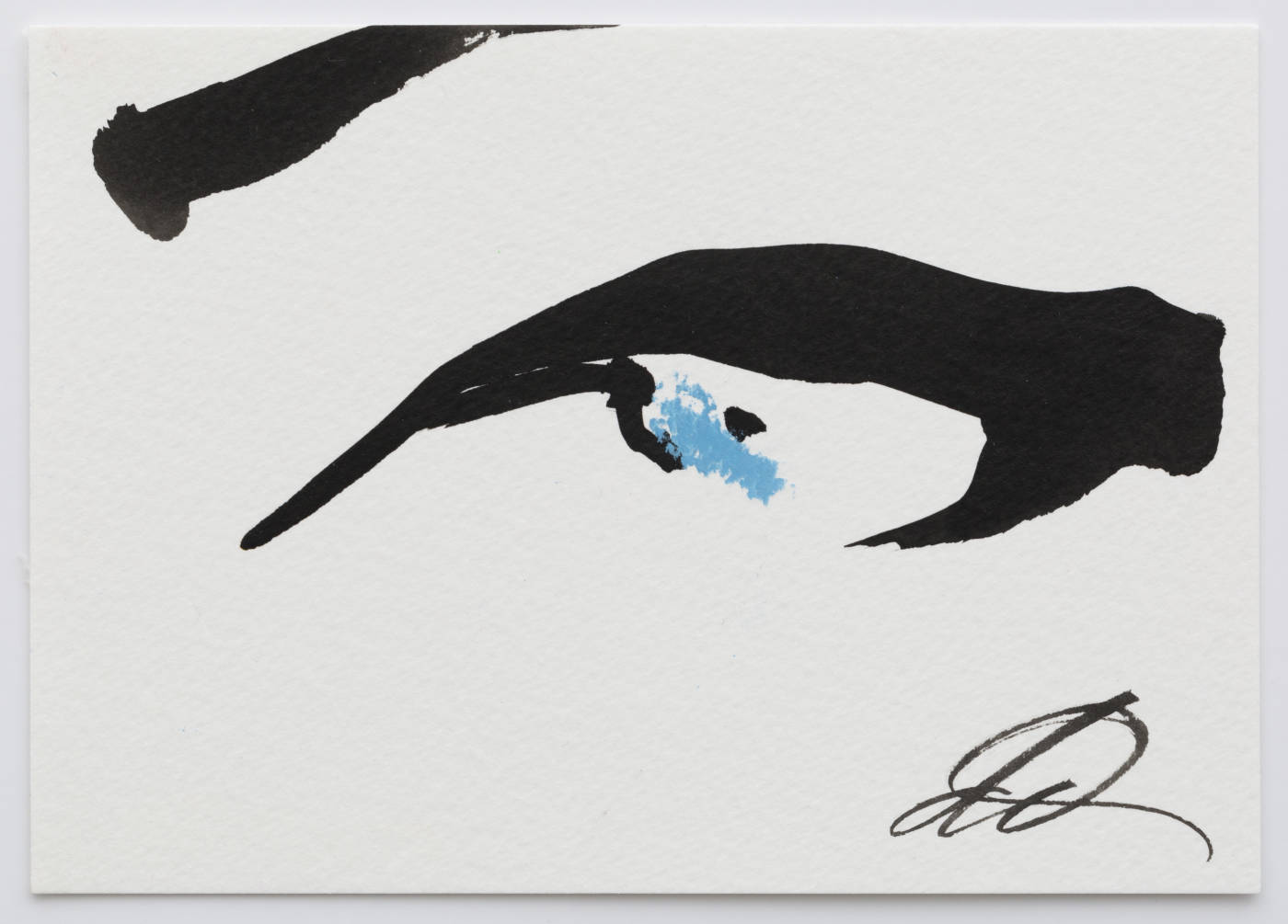 Blue Chalk Eye