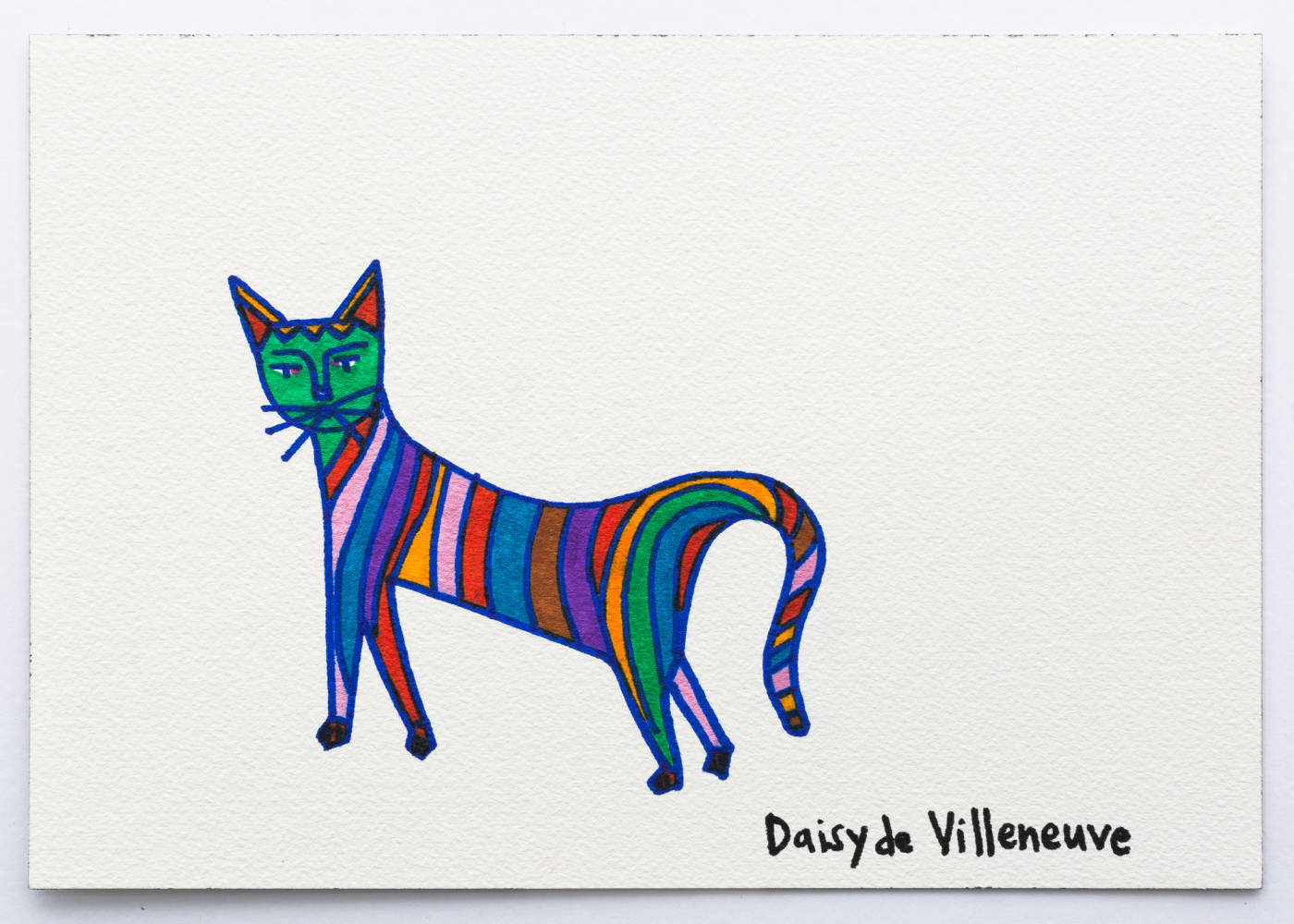 Rainbow Cat