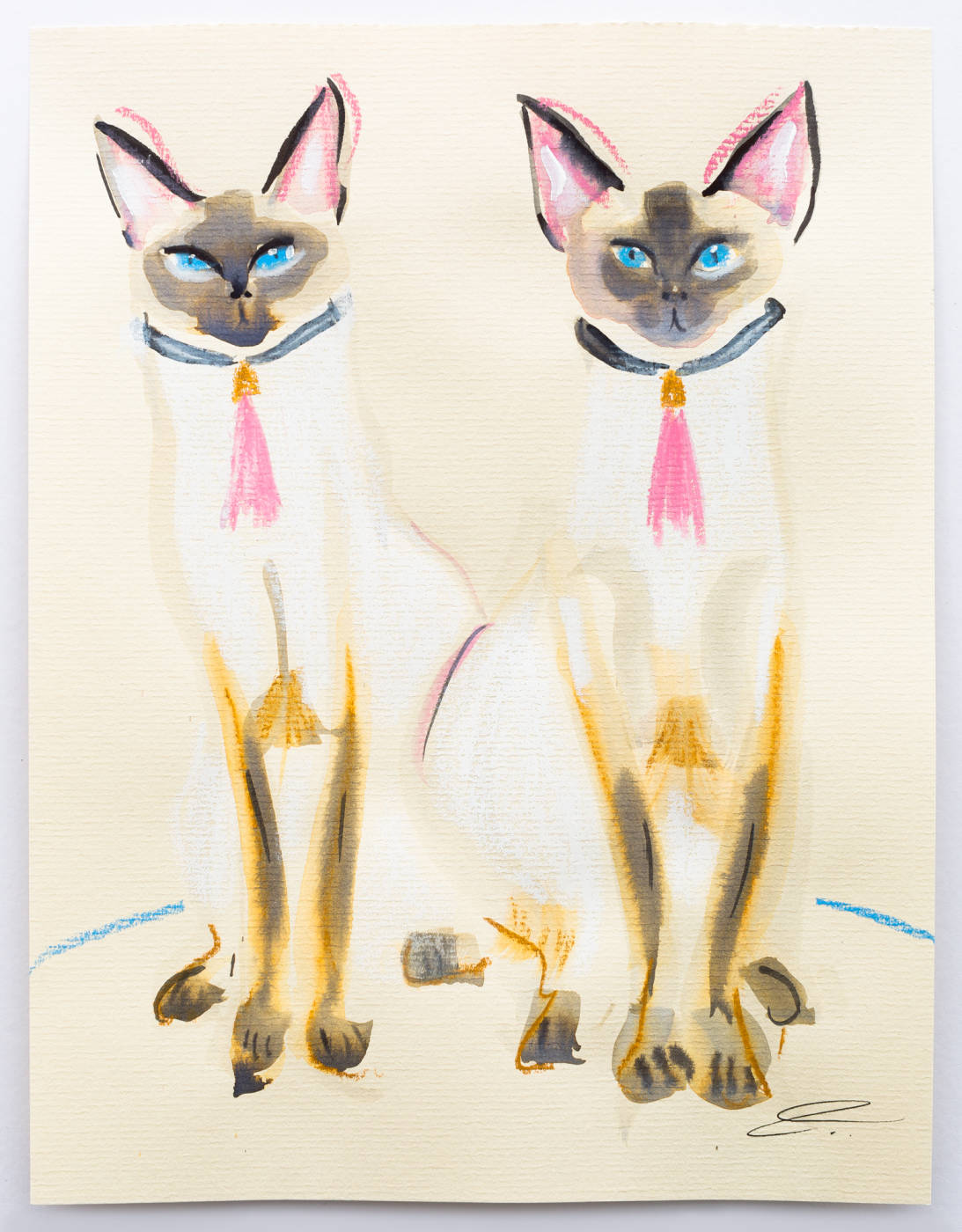 Siamese Confusion