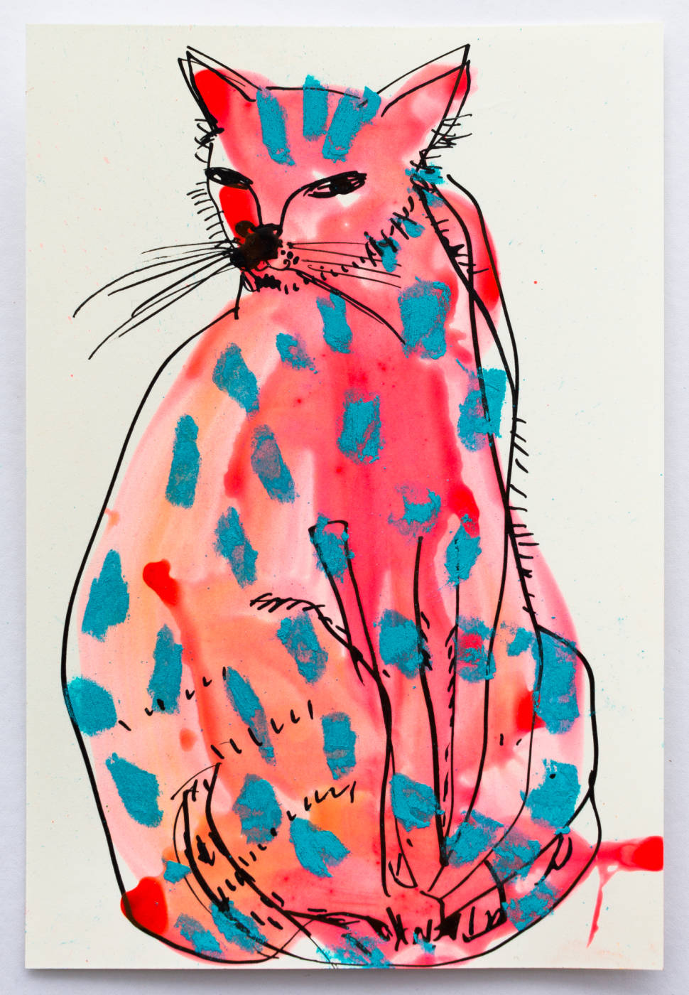 Birdie the Patterned Pussy Cat