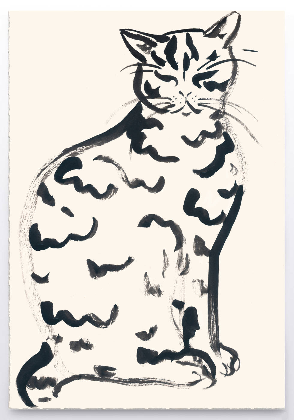 Cat in Black