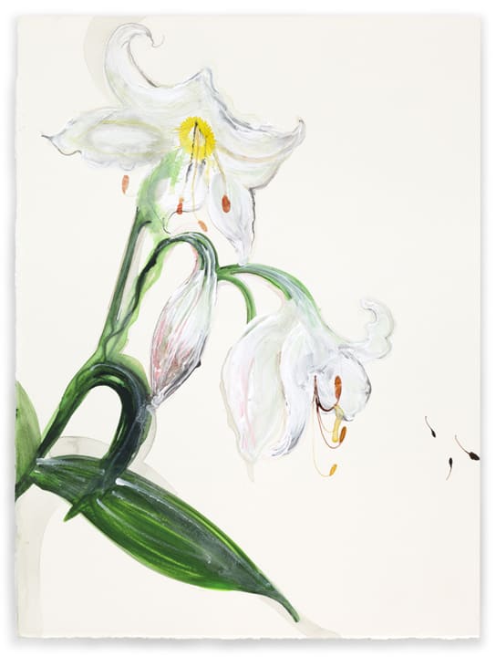 Untitled BD 11