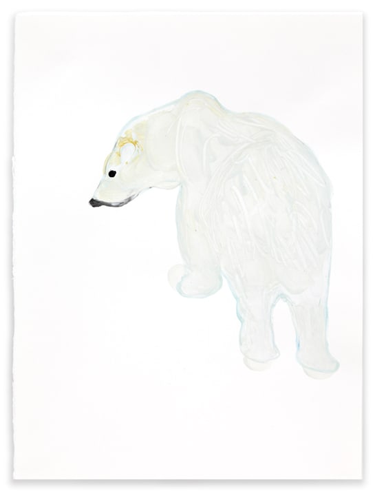 Polar Bear