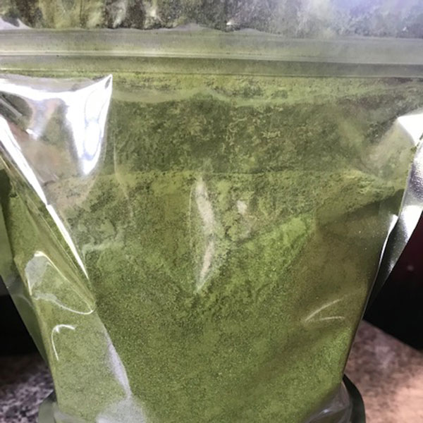 Moringa Leaves Powder