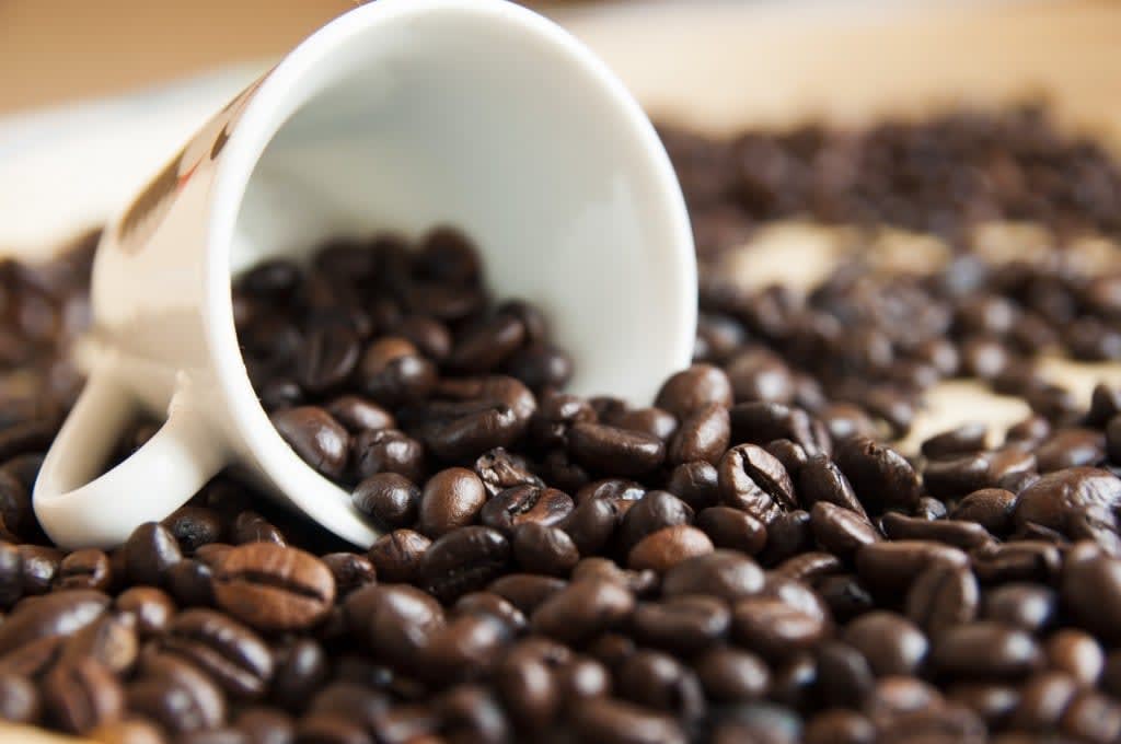 Kaffee gibt es nicht immer im Survival Trip