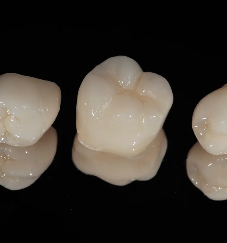 Dental crown case