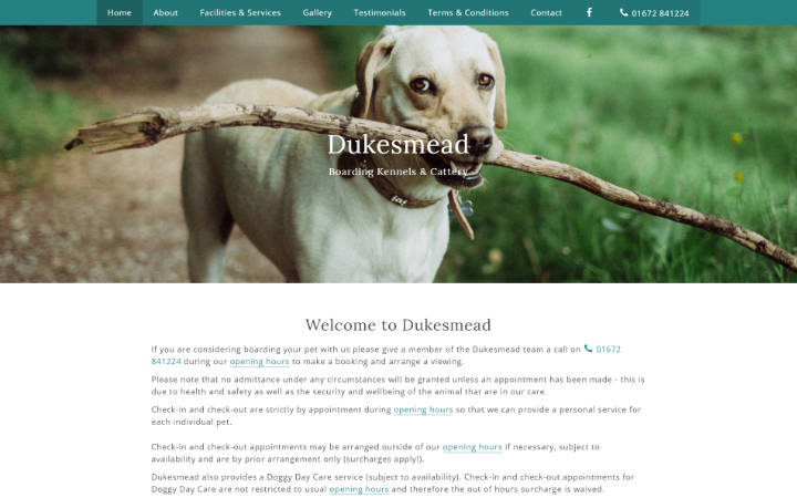 Representation of Dukesmead Boarding Kennels & Cattery website on a desktop computer.
