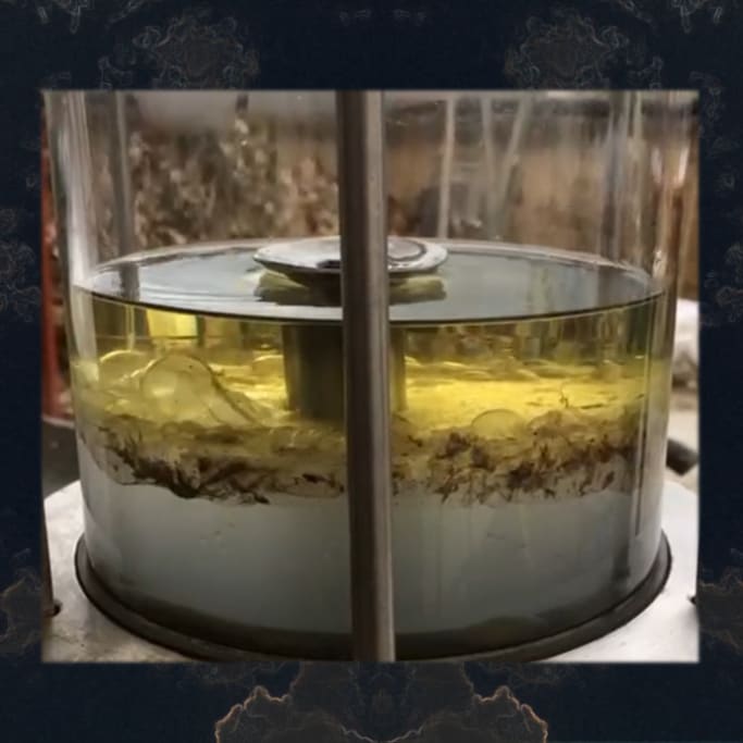 Essential Oil Extration Plant