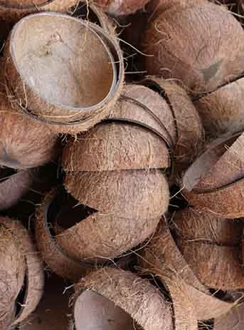 raw_coconut_shell_for_charcoal_briquettes