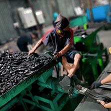 coconut_charcoal_briquettes_manufacturer