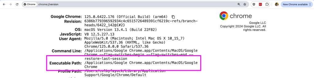 Finding the Executable Path in chrome://version