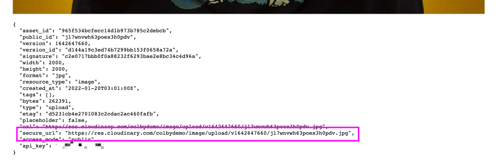 Browser showing uploaded image metadata with URL highlighted