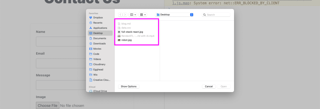File dialogue only allowing images to be selected