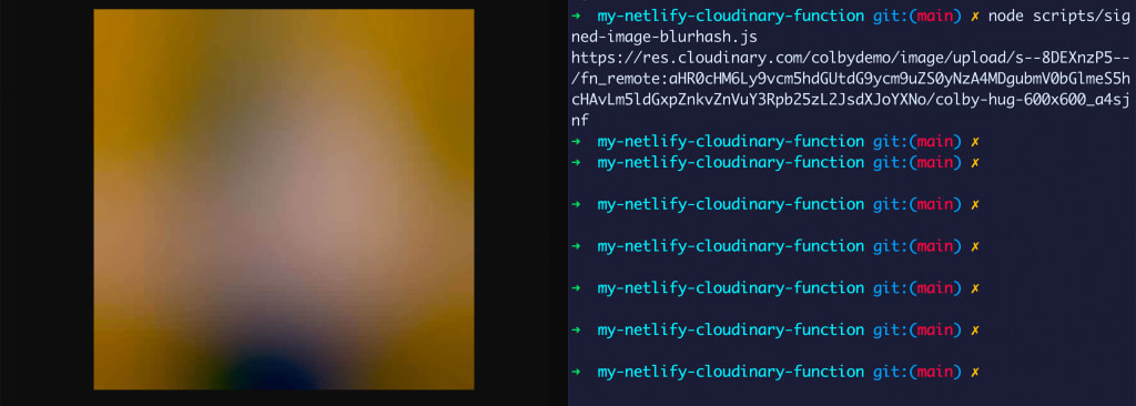 Terminal next to browser showing URL and image