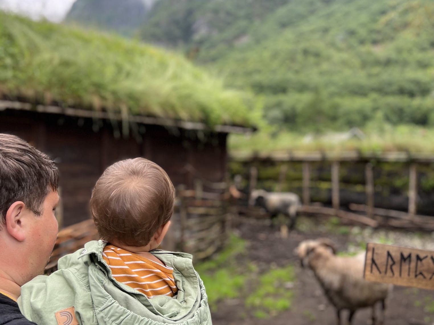 Me and my son watching goats in the mountains