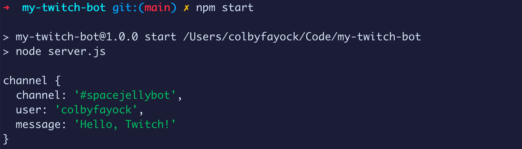 Terminal showing logged chat message
