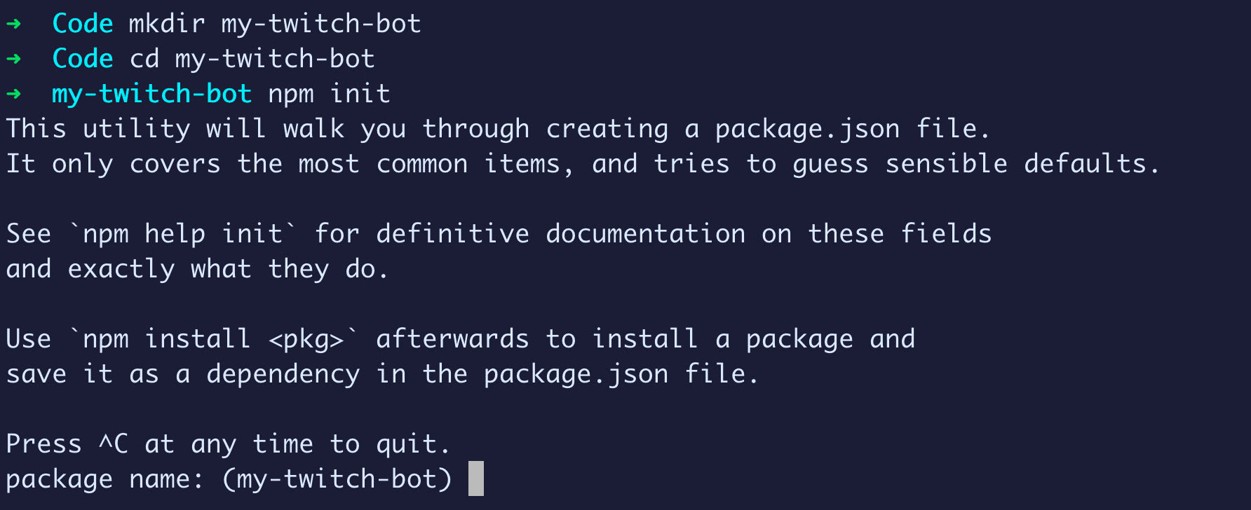 npm init inside of a terminal