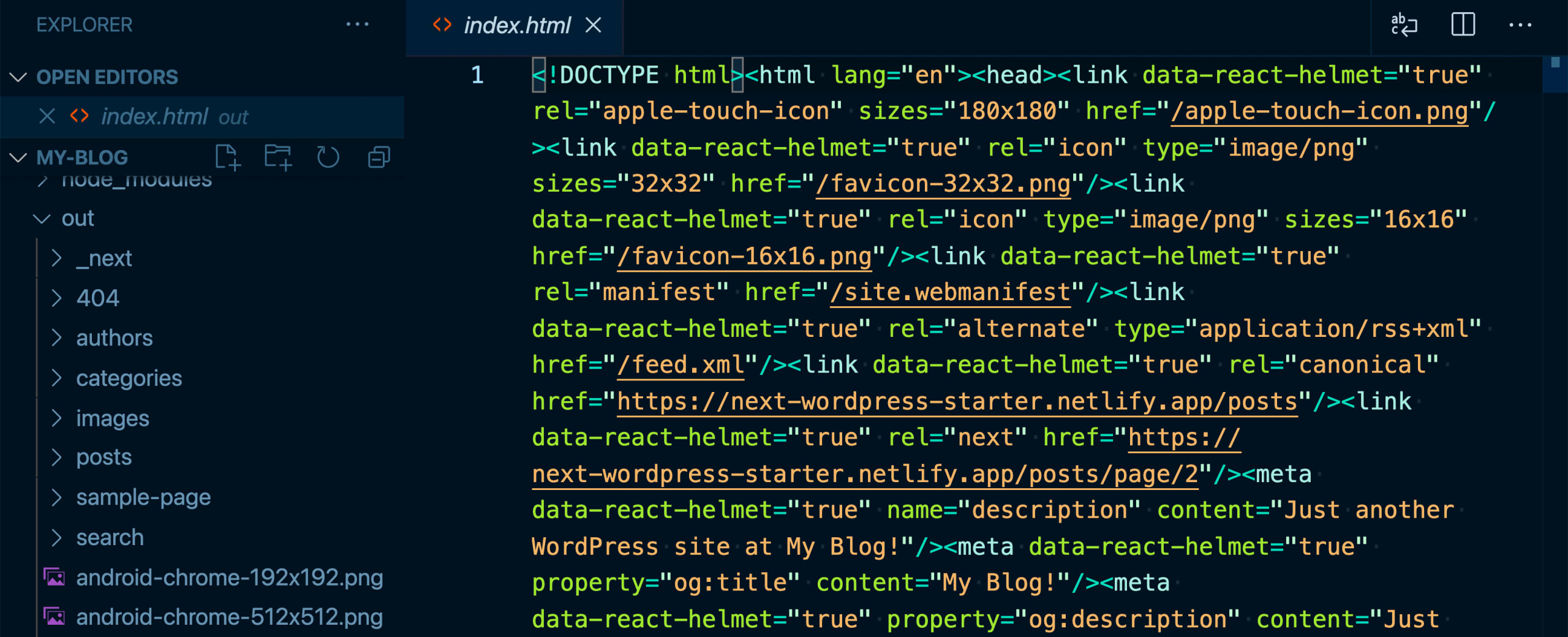 VSCode showing static output