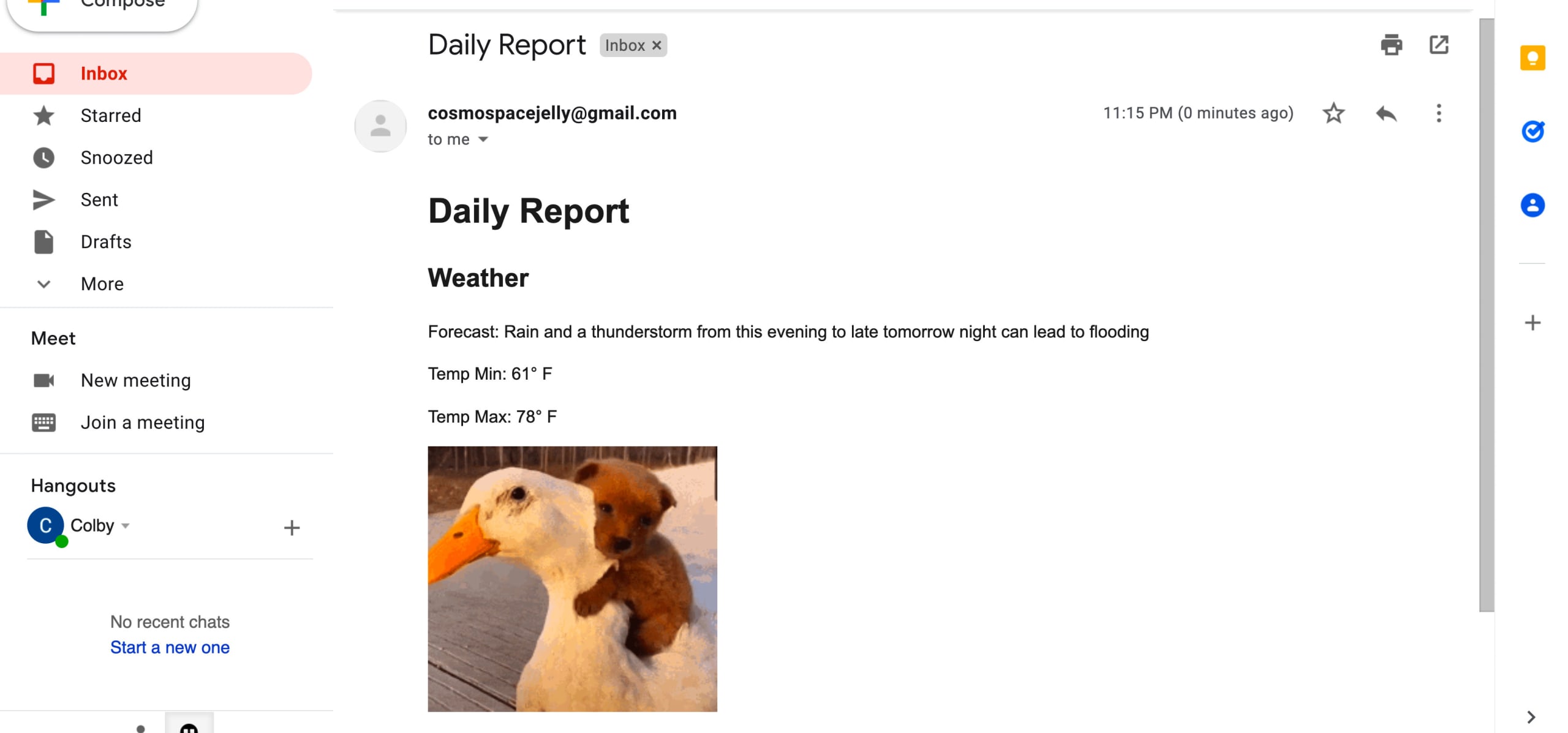 Gmail showing Daily Report email open with a gif at the bottom