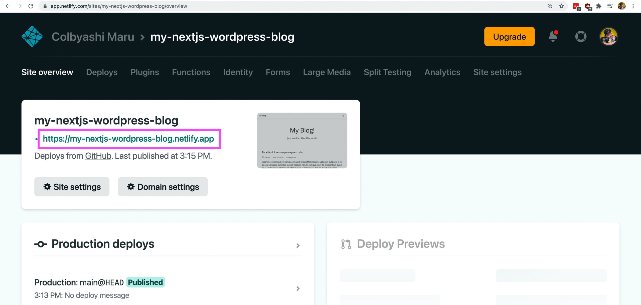 Netlify dashboard showing successful deploy