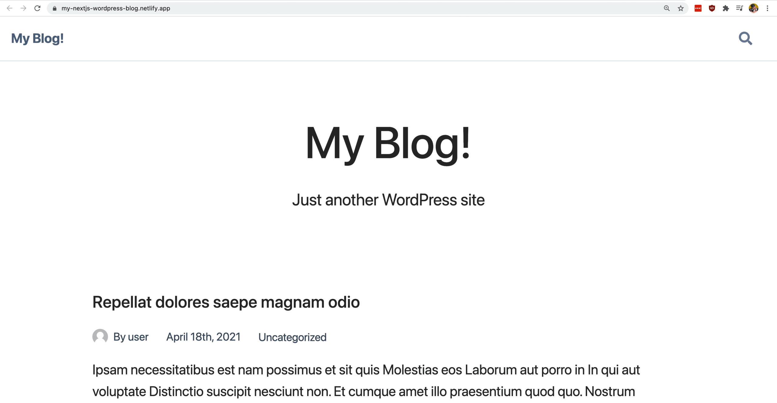 WordPress blog with Next.js deployed to Netlify