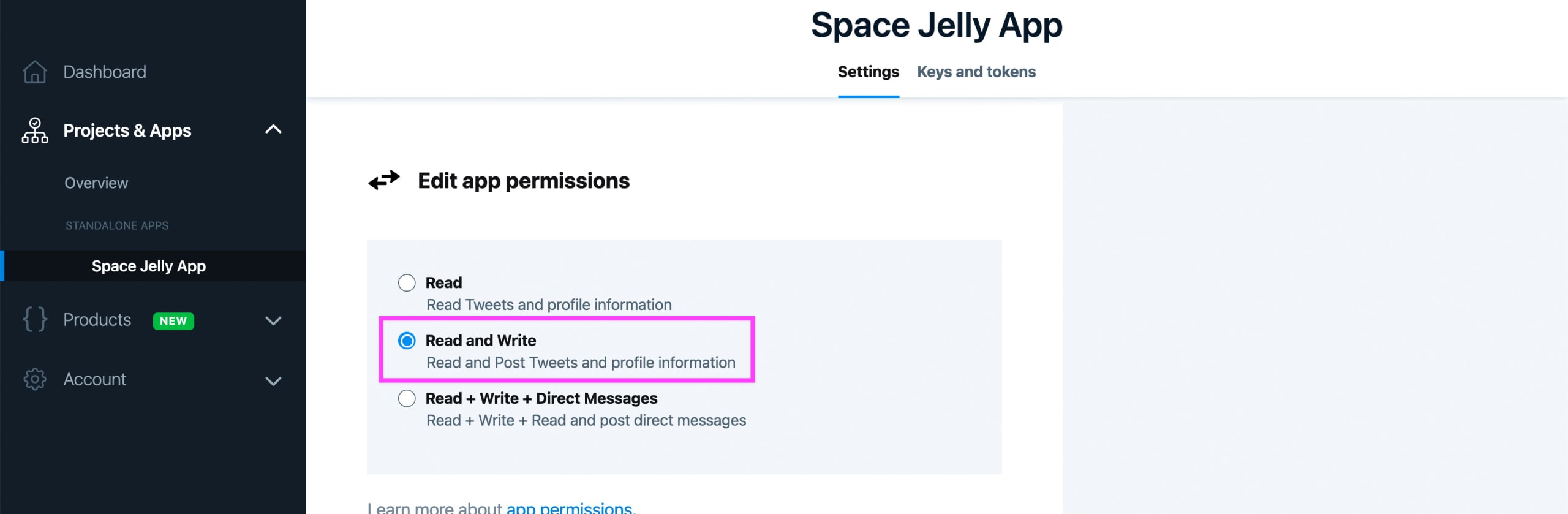 Twitter App app permissions