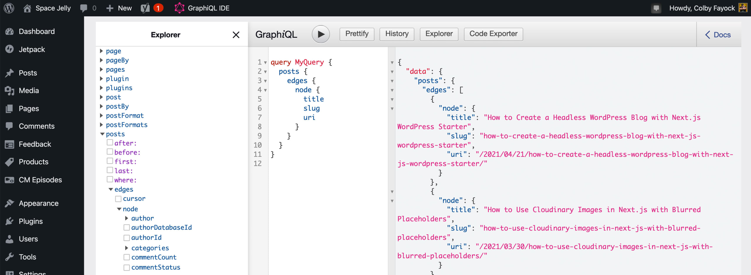 GraphiQL in WordPress