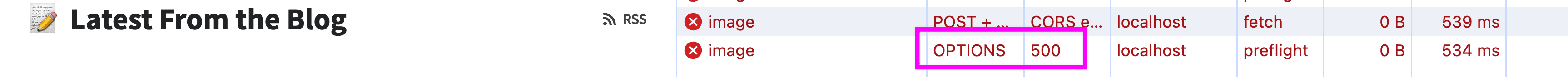 Preflight request in Network tab
